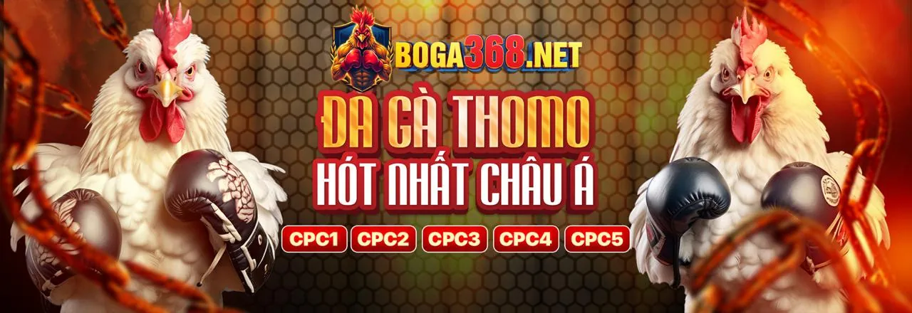 Các chương trình khuyến mãi đặc biệt cho máy đánh bạc jb88 code